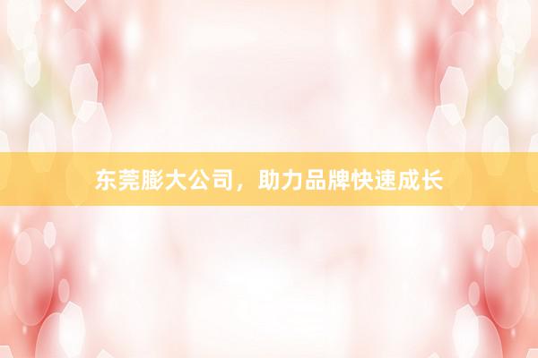 东莞膨大公司，助力品牌快速成长